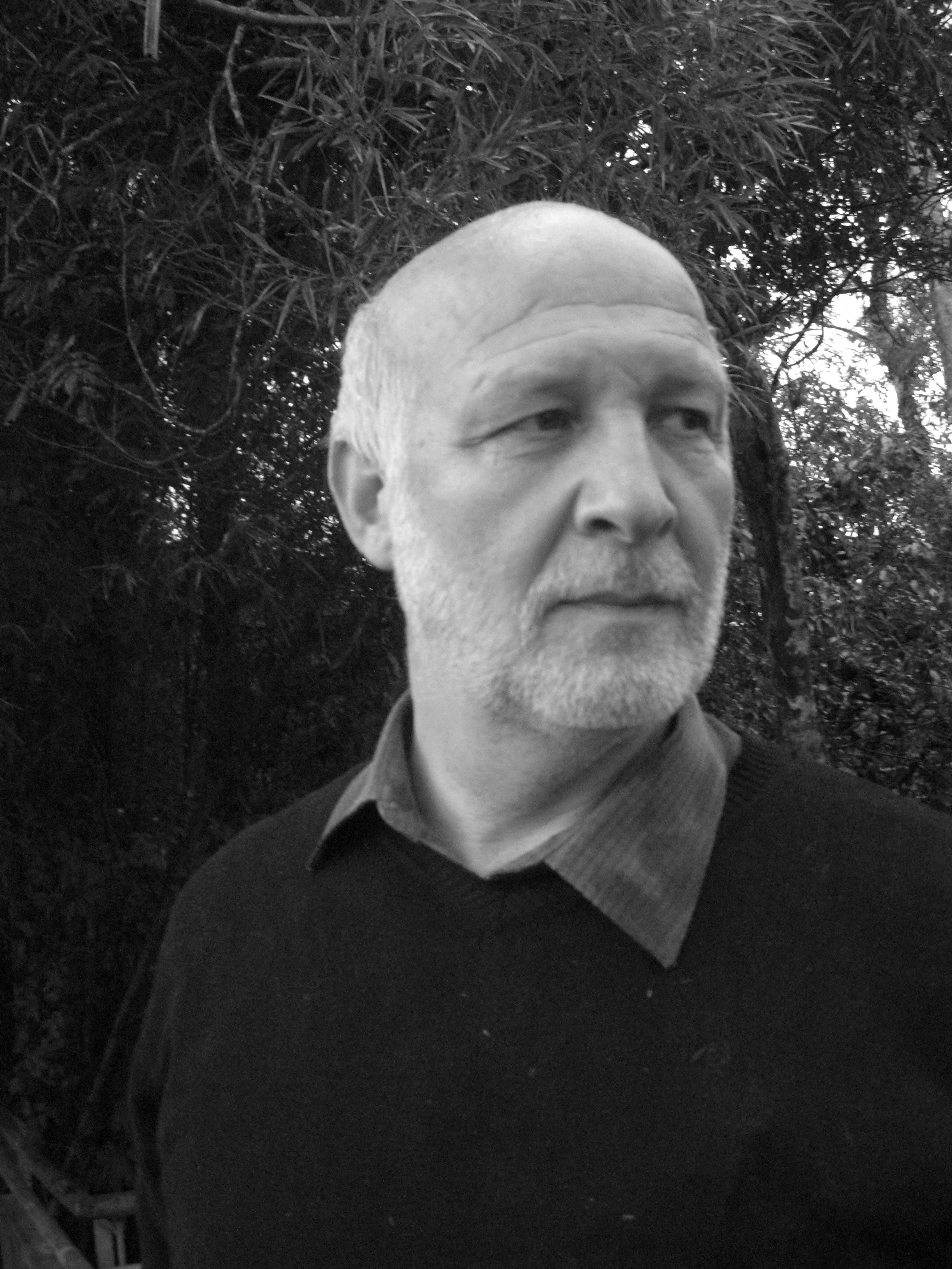 Professor Peter Fonagy in 2008