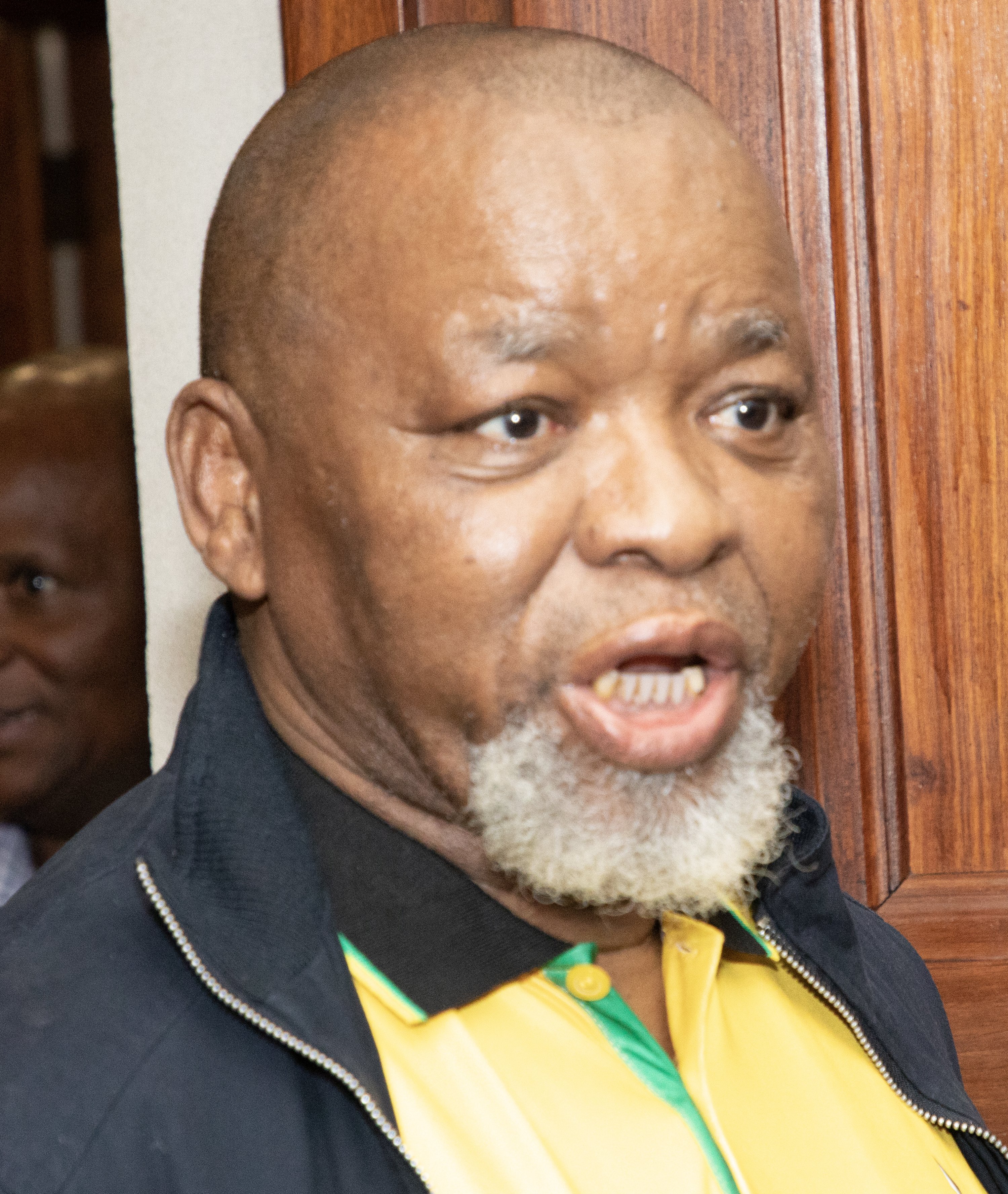 Gwede Mantashe, minister of mineral and petroleum resources
