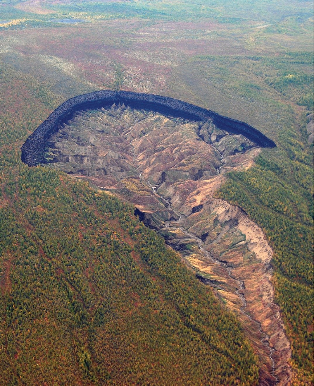 Aerial view of the Batagaika crater in Yakutia, a huge bowl of bare thawed ground surrounded by forest