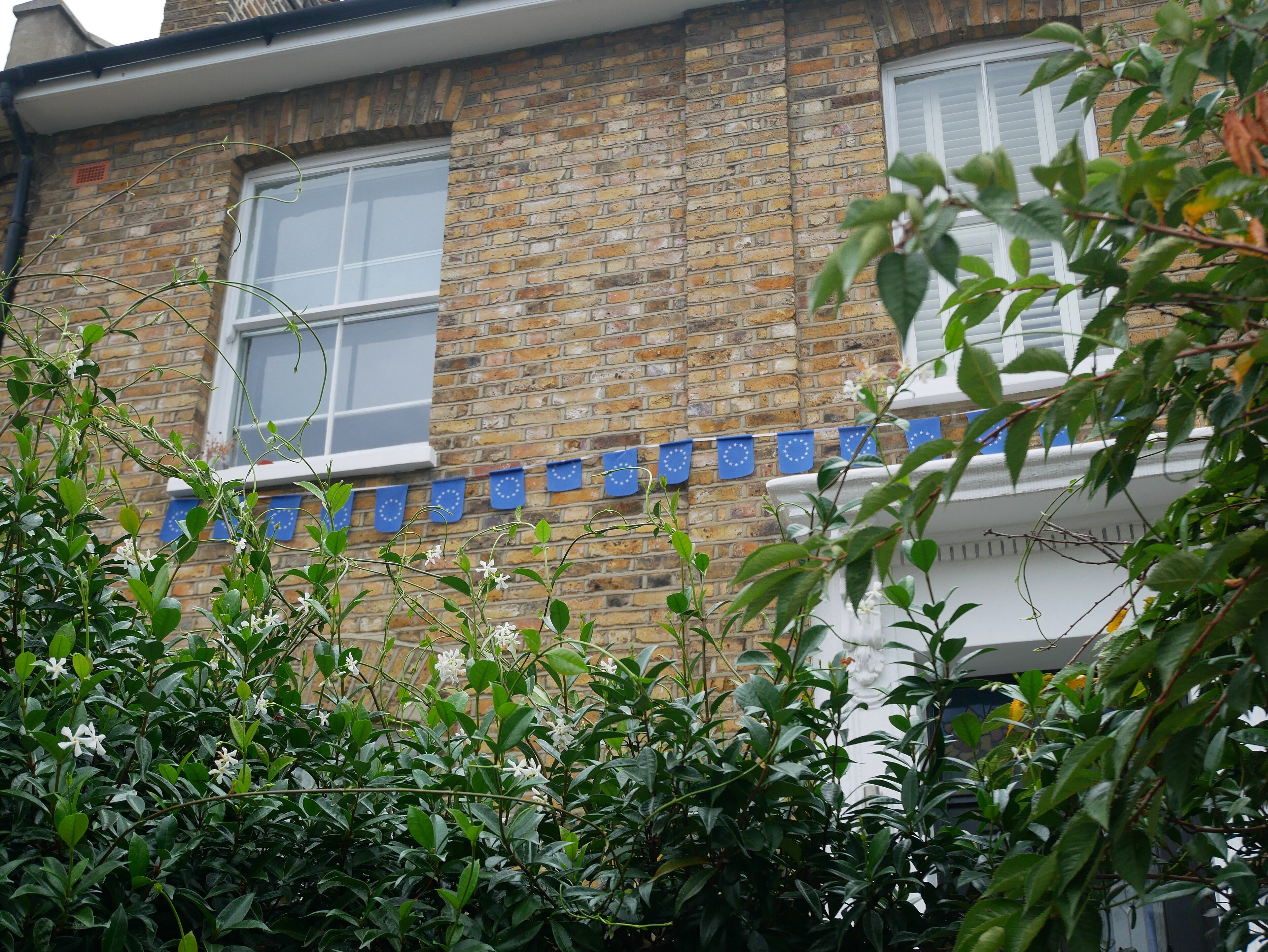 European Union flags flying on a London street
