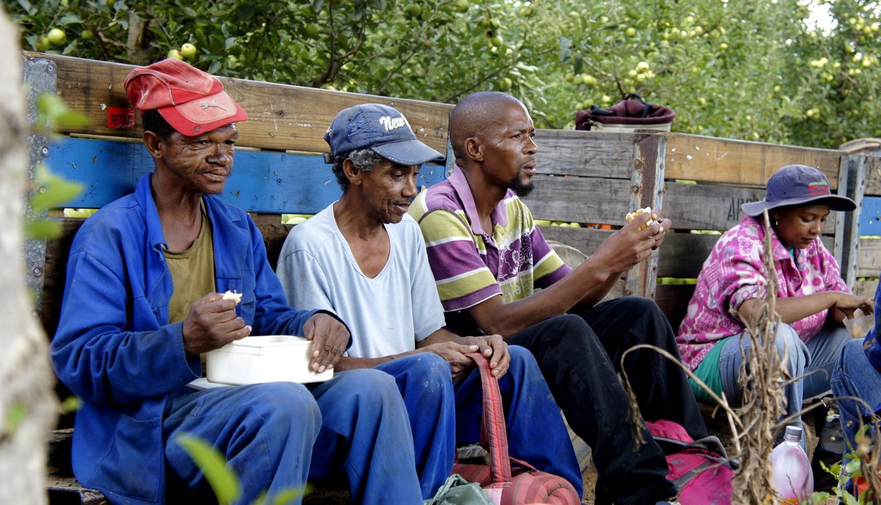 Apple pickers on a lunch break in an orchard
