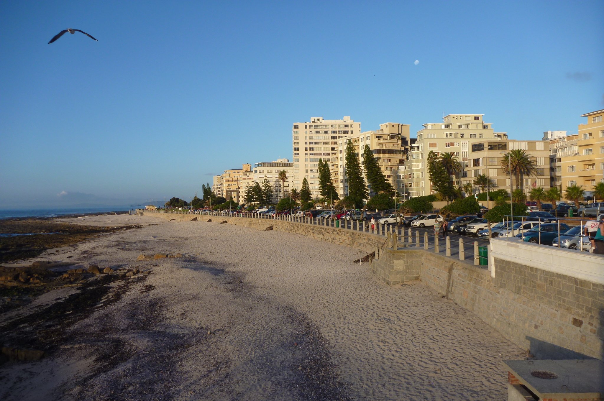 Apartment blocks and palm trees along the Sea Point promenade in Cape Town on a clear evening