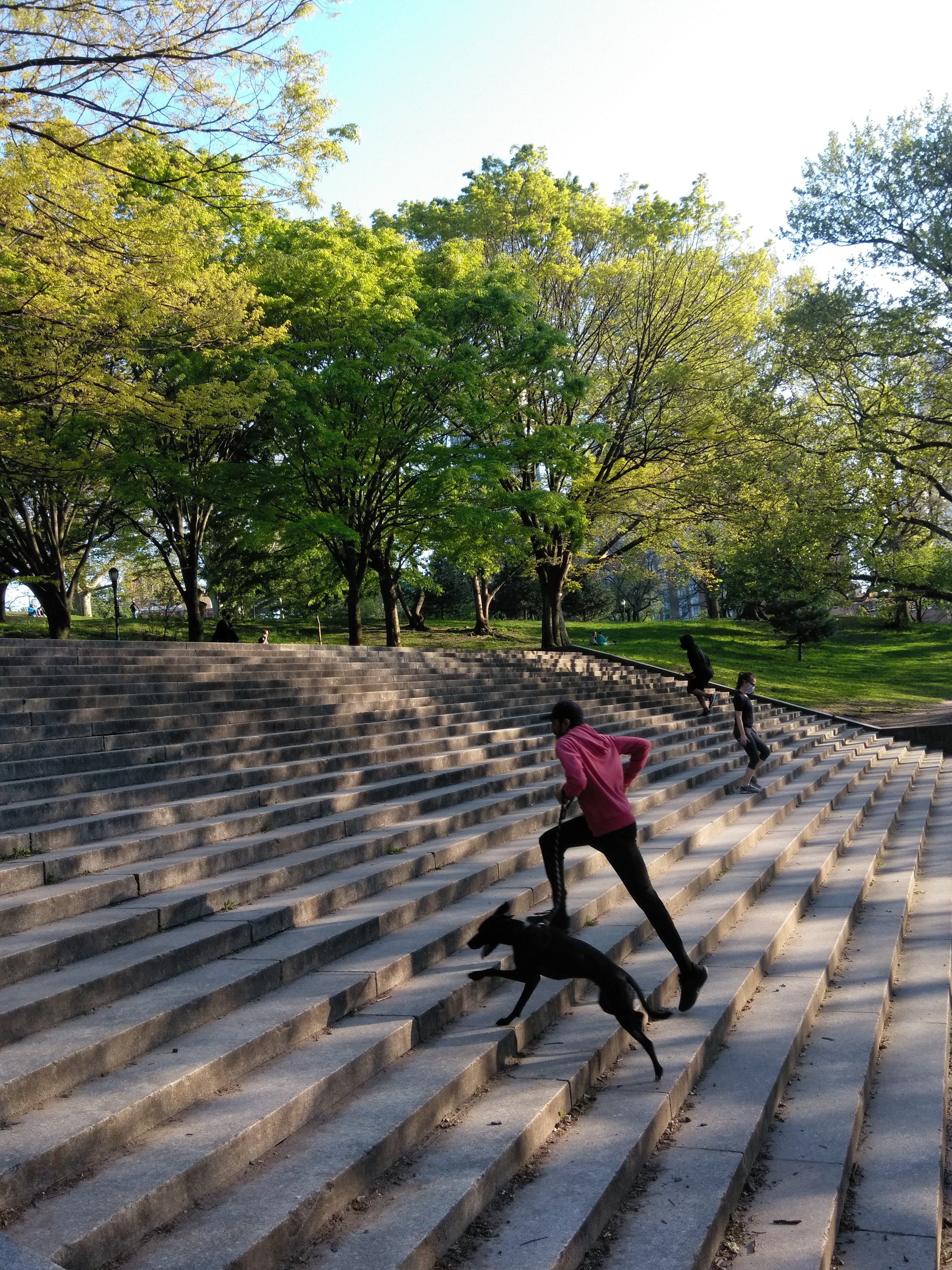 A jogger on a tree-lined path in Fort Greene Park in Brooklyn, New York