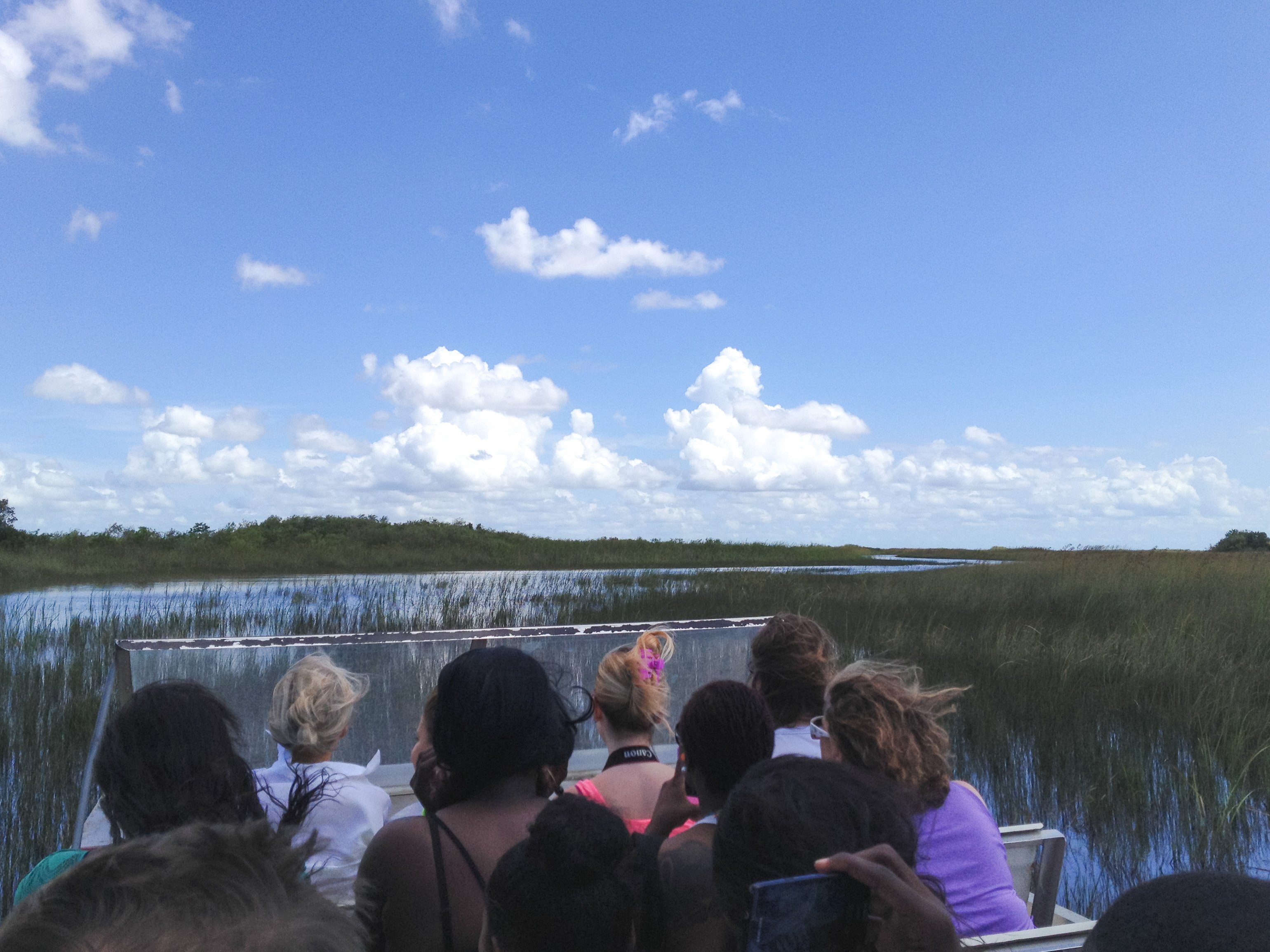 An airboat speeding across the water in the Florida Everglades