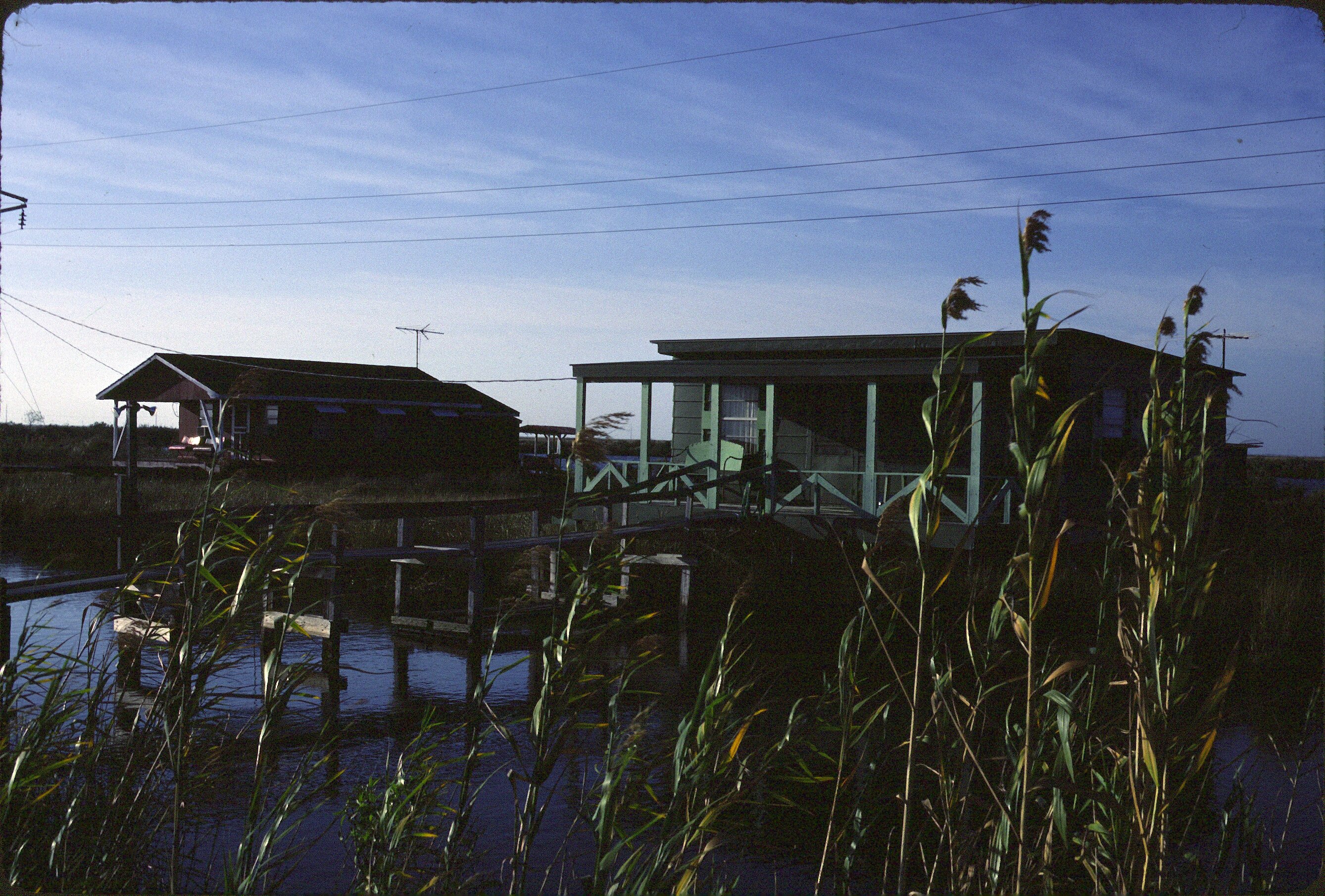 Houses along a bayou in Louisiana