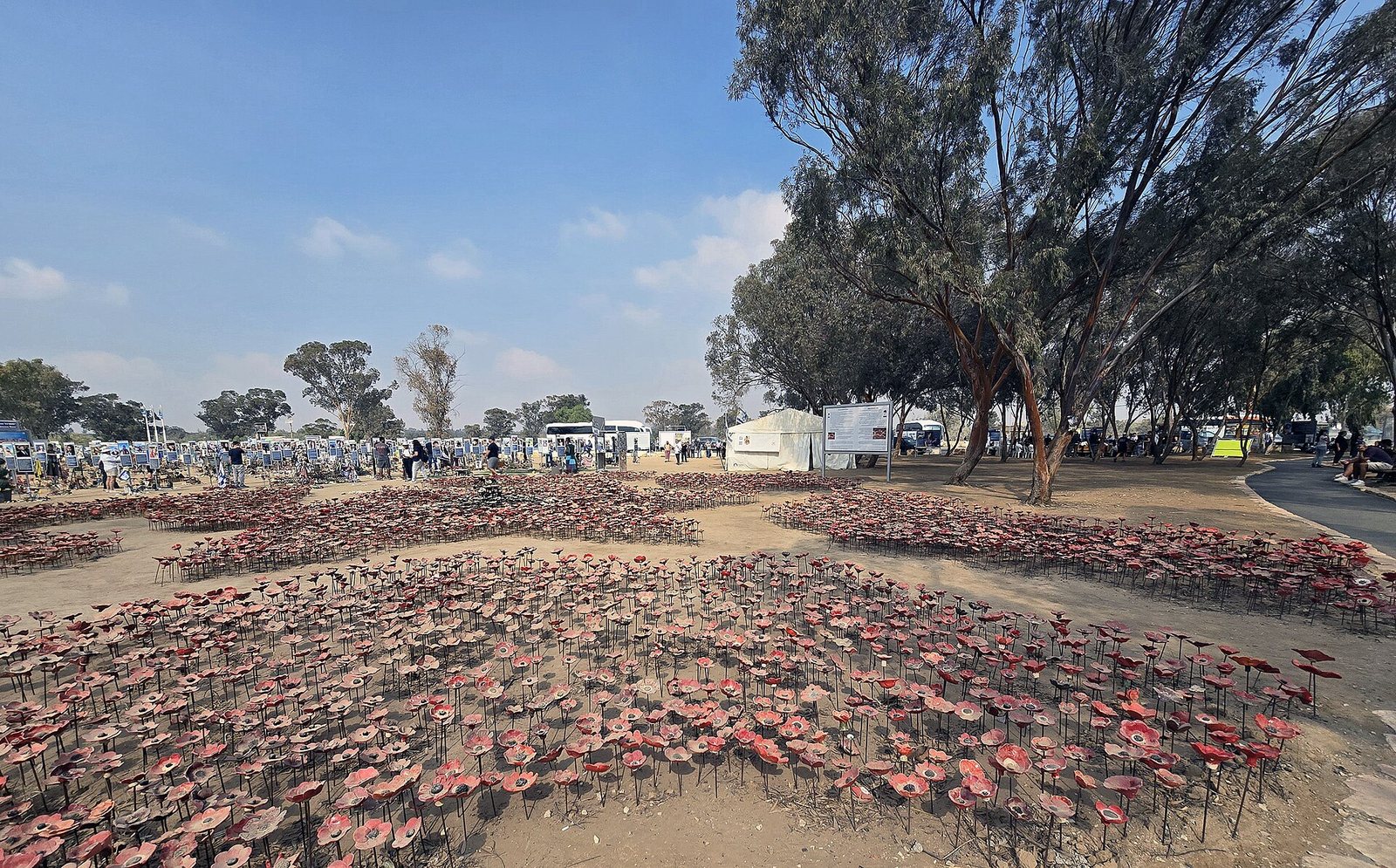 A field of red memorial poppies under eucalyptus trees at the Nova festival memorial site near Re'im