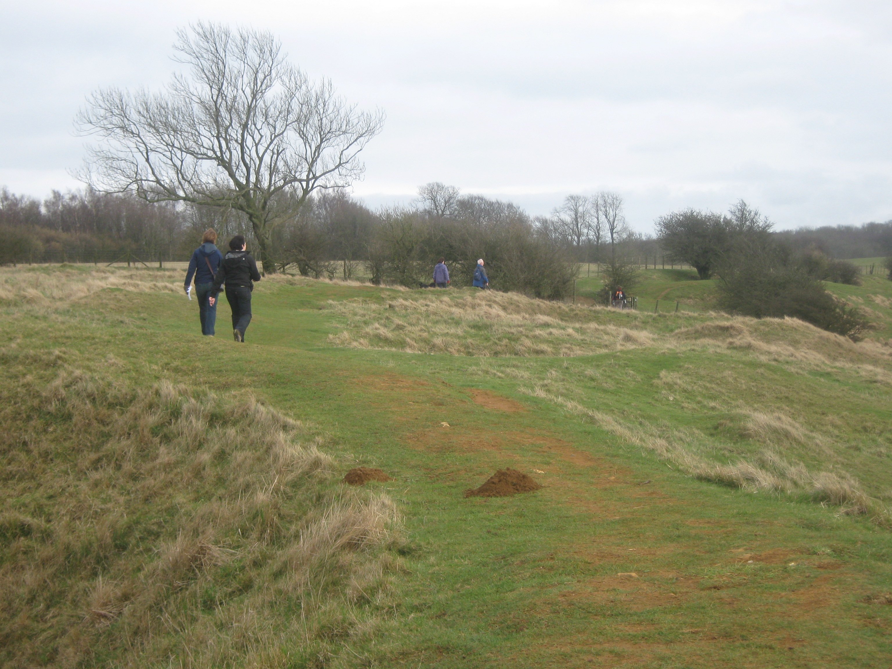 Walkers crossing the green slopes of the Wye Downs in Kent under a wide sky