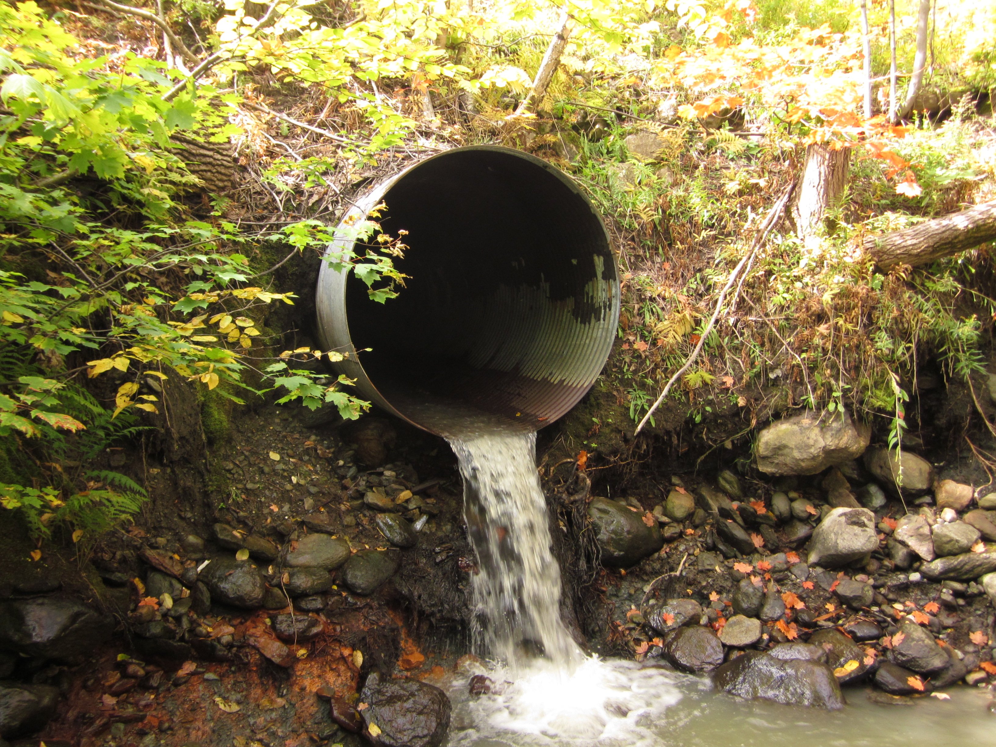 A concrete and steel drainage culvert running under a bank