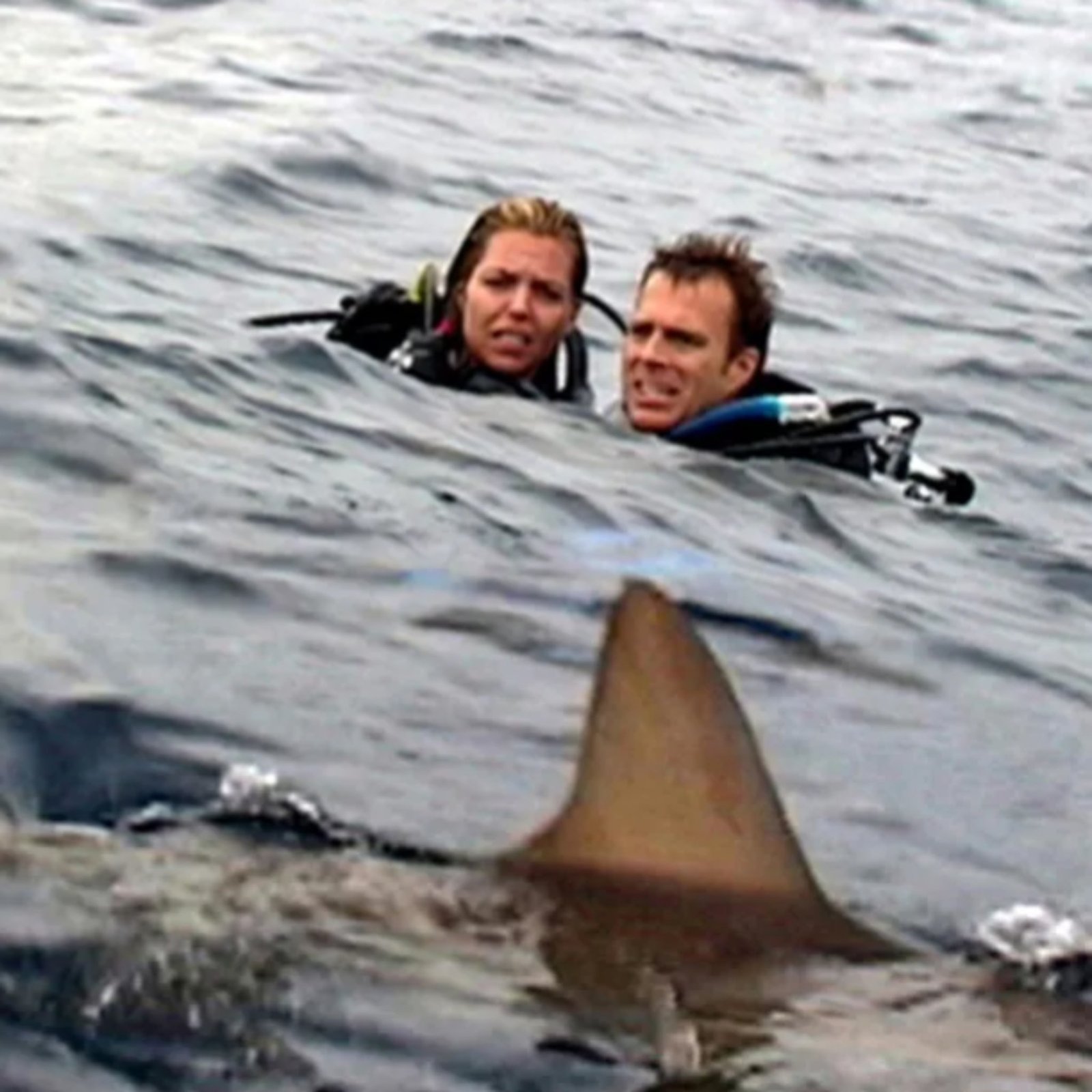 A still from the film Open Water showing two divers and a shark fin
