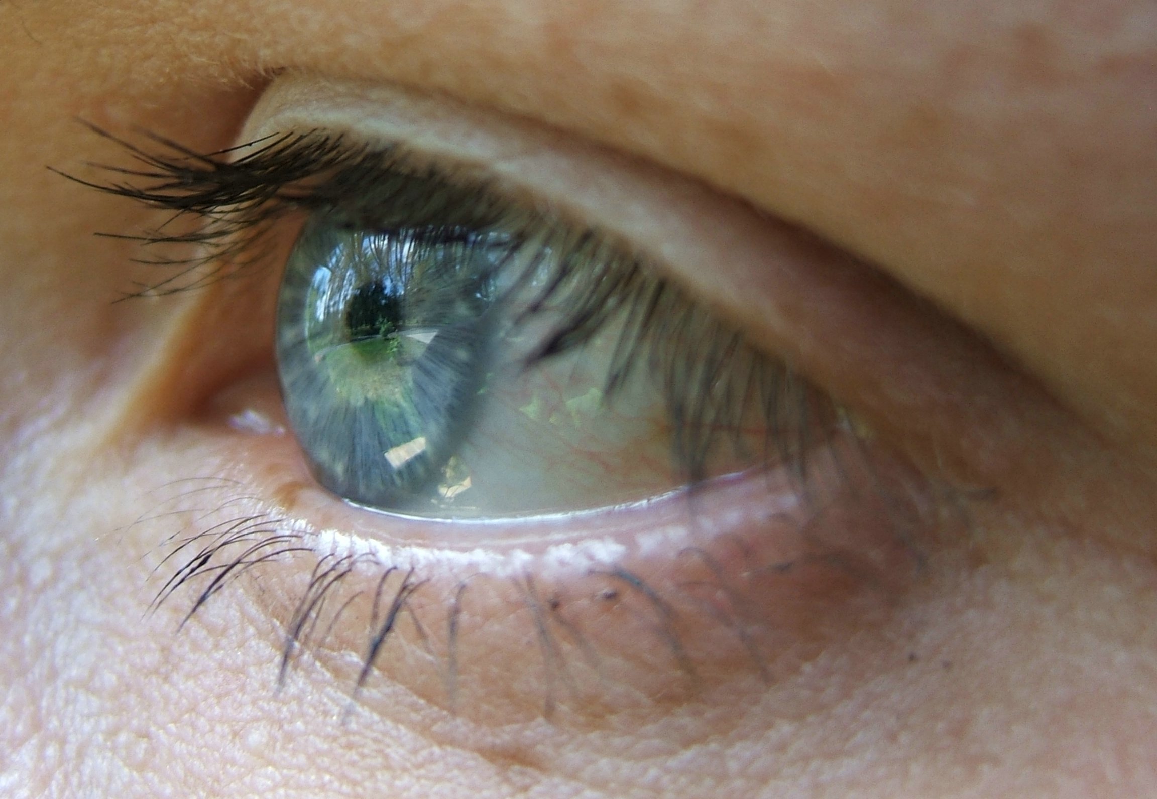 Close-up of a man's eye and lashes