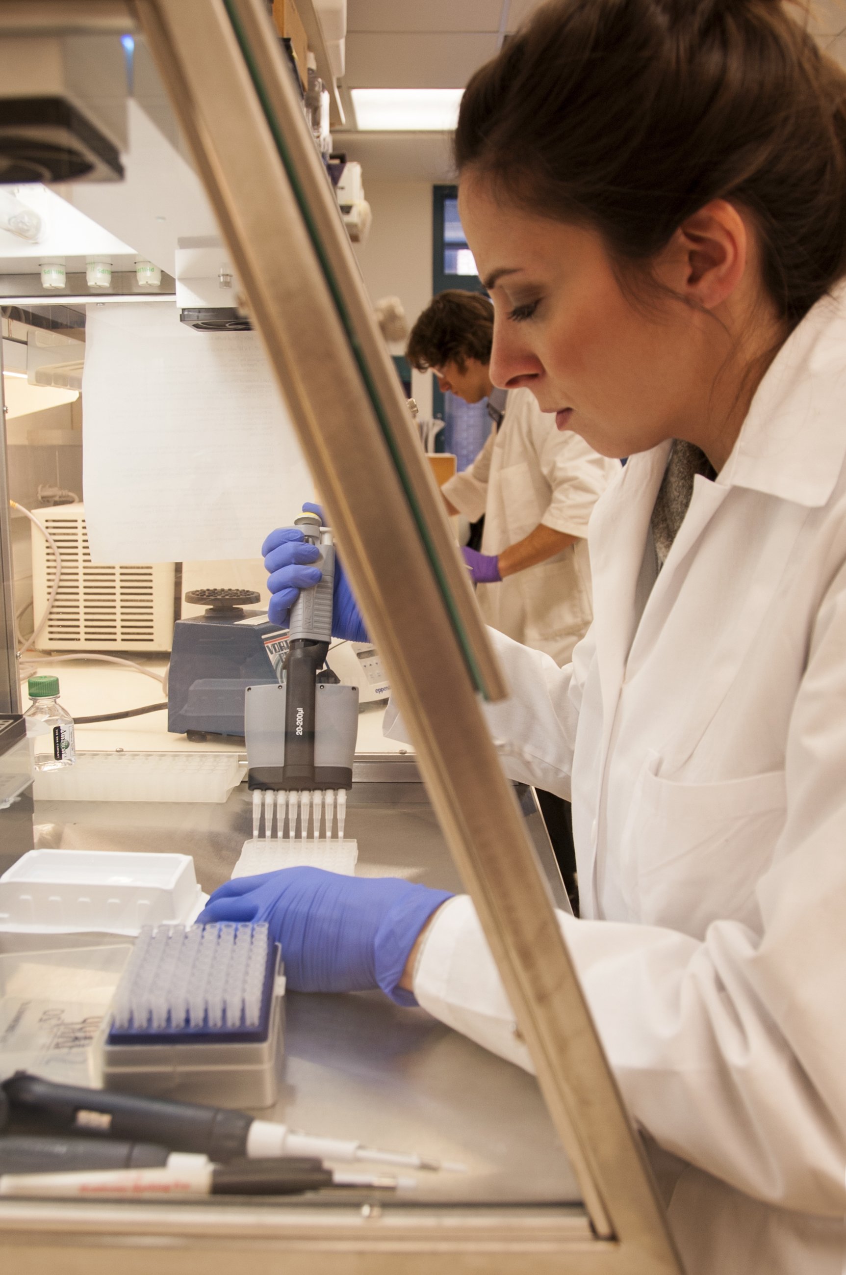 A scientist studies cell samples under controlled lab conditions