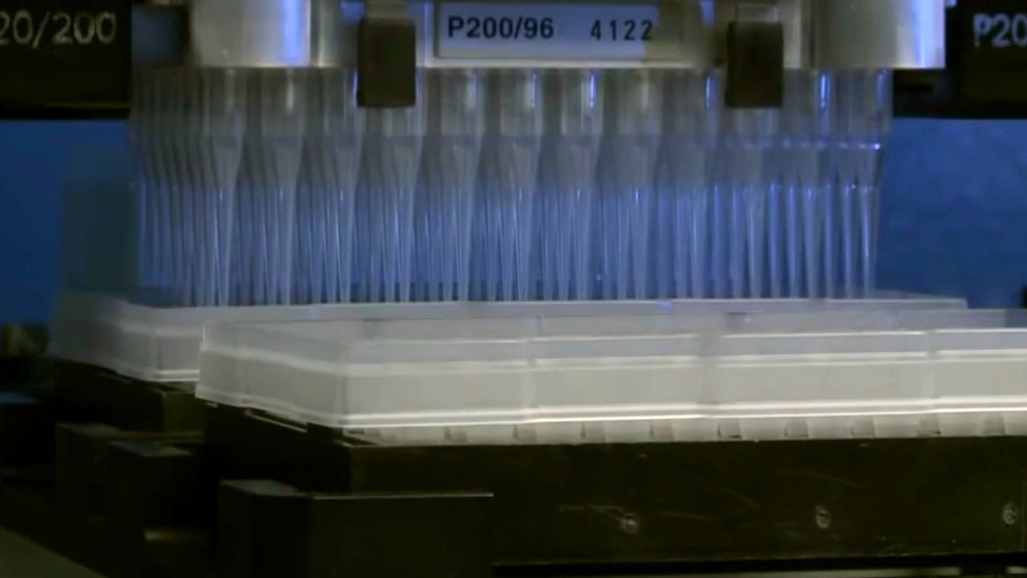 An automated laboratory system handling multiple sample batches