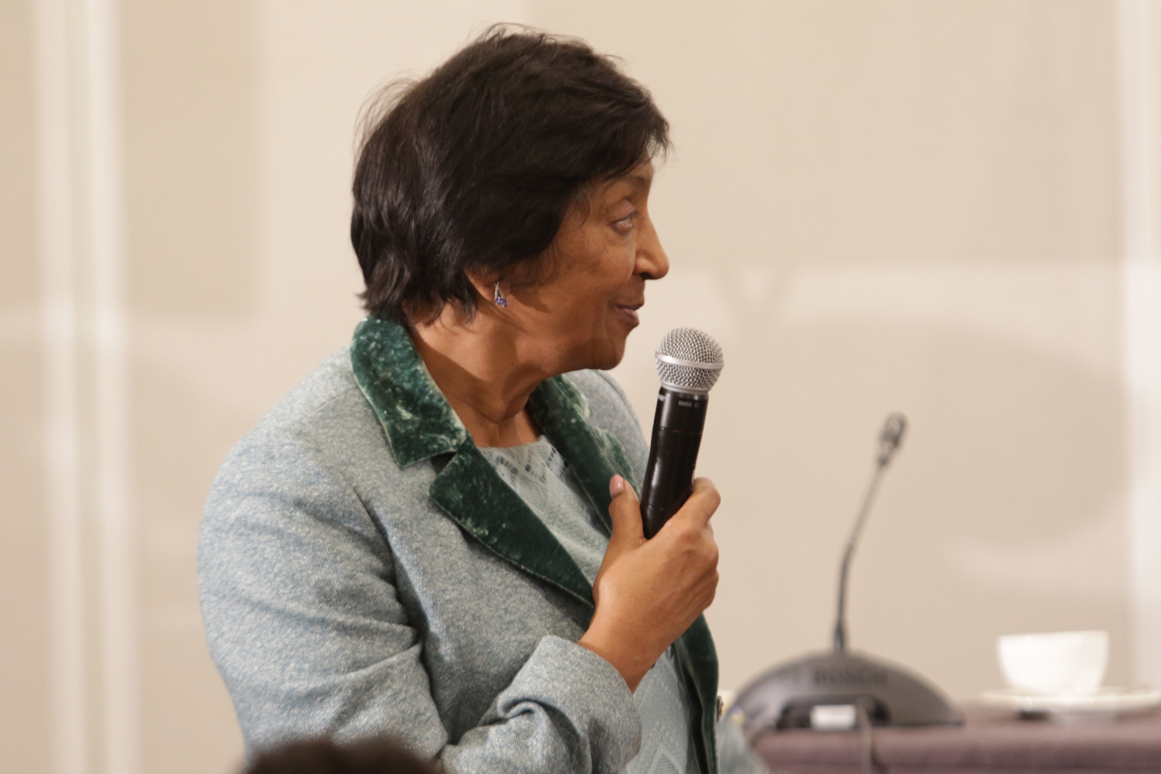 Navi Pillay, the South African judge and former UN human rights chief, speaking at a panel