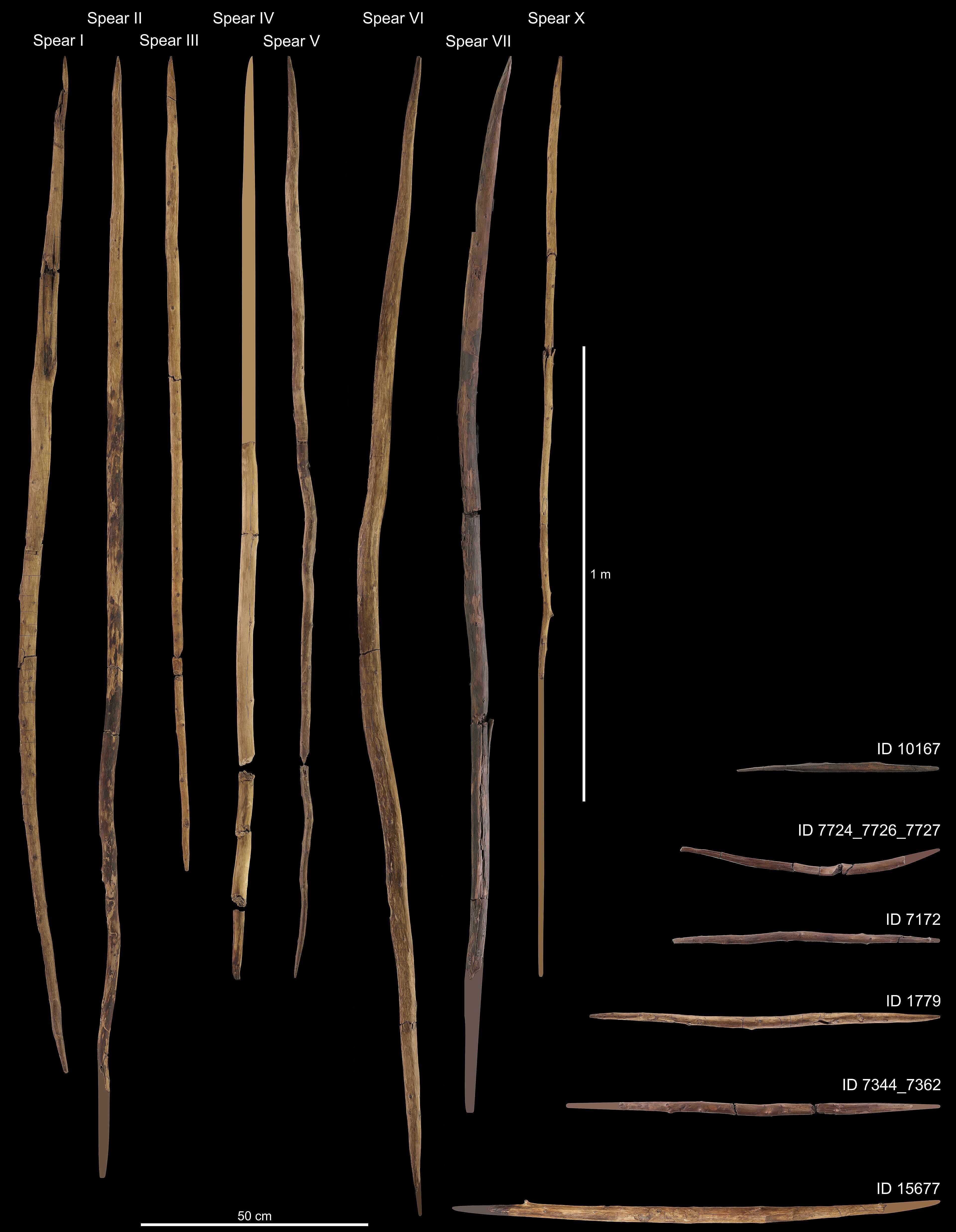 Wooden spears and double-pointed sticks from Schöningen in Germany