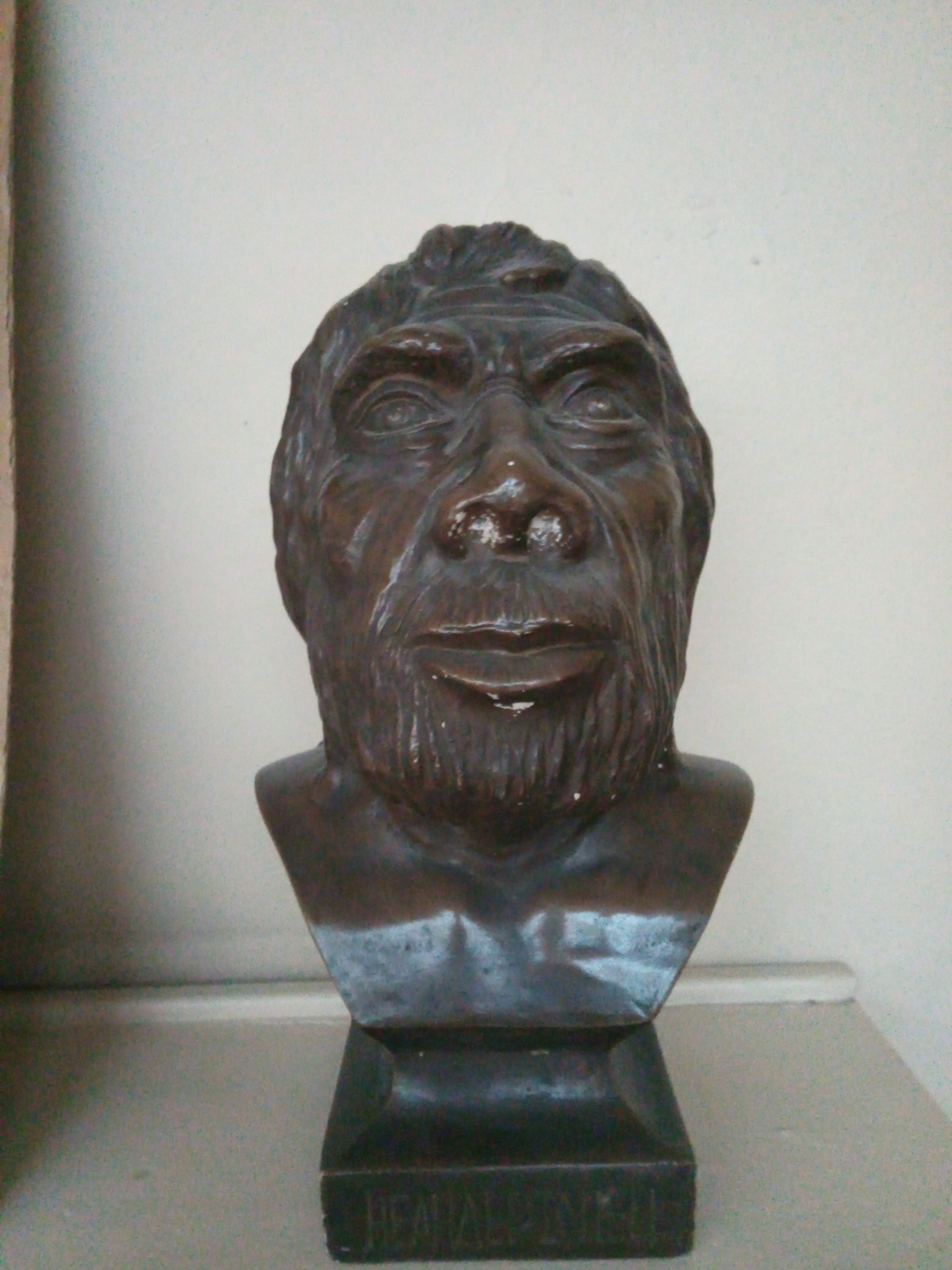 Another museum reconstruction of a Neanderthal, in Sofia