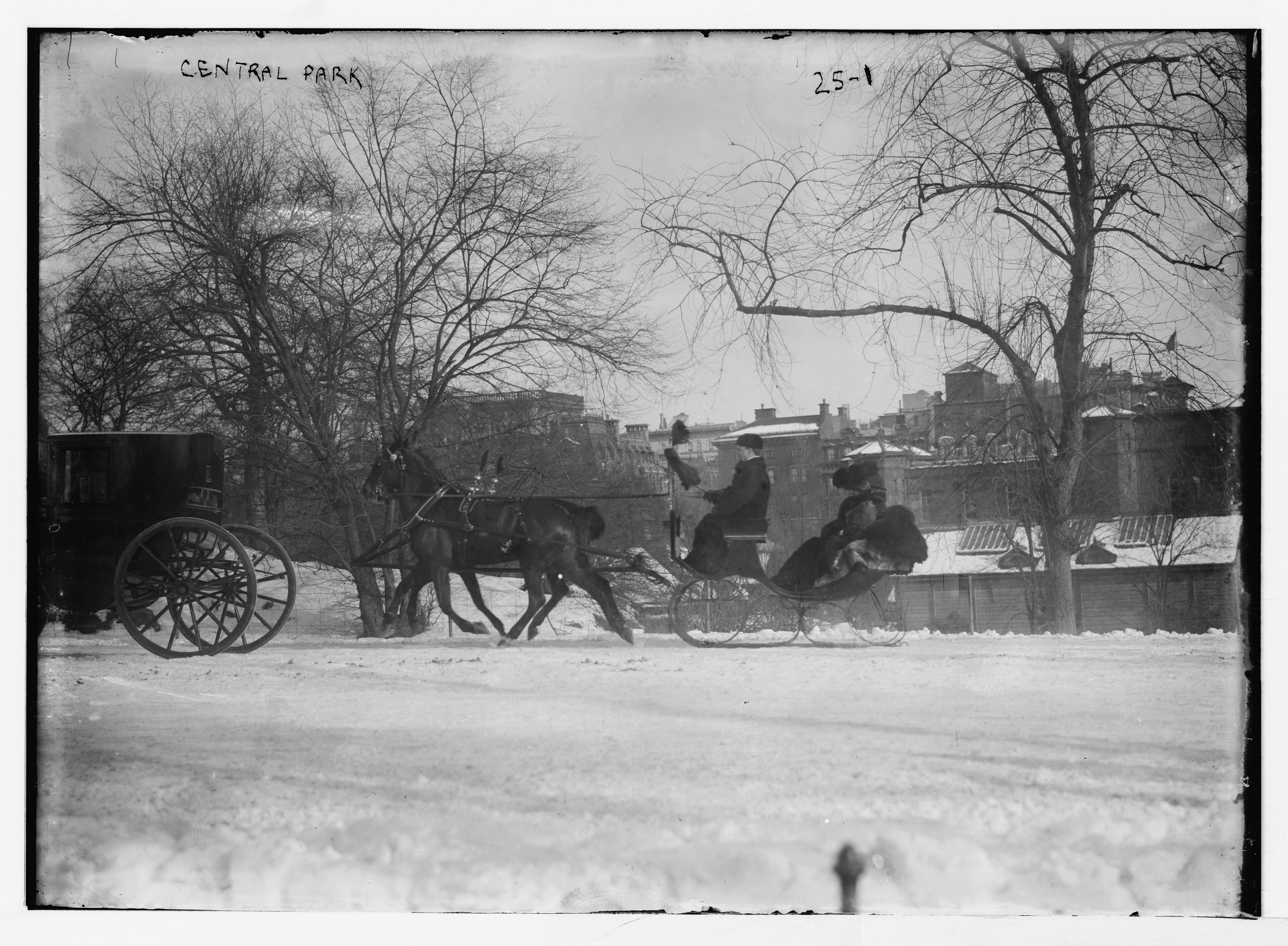 Horse-drawn carriages lined up in Central Park in the early 1900s, decades before the 2026 ban