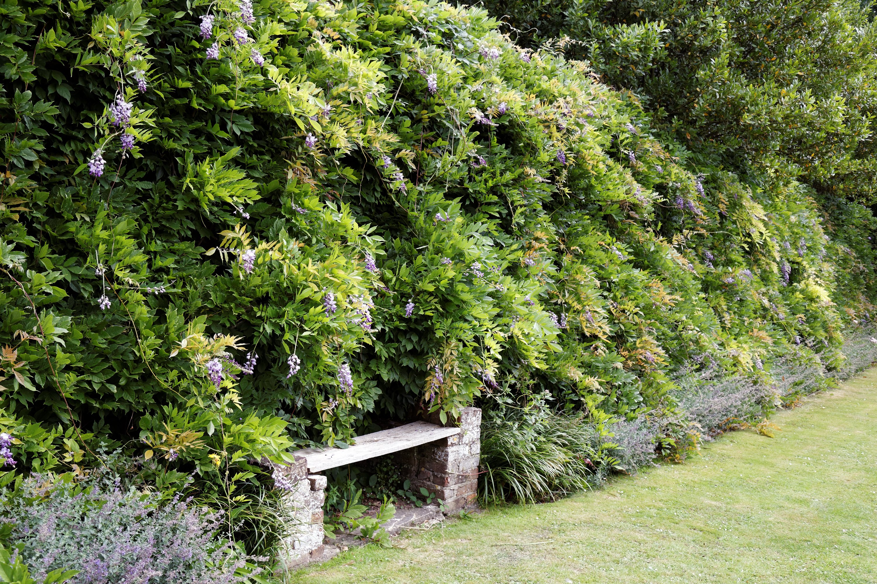 An empty garden bench, the retirement most South Africans picture but few can fully afford