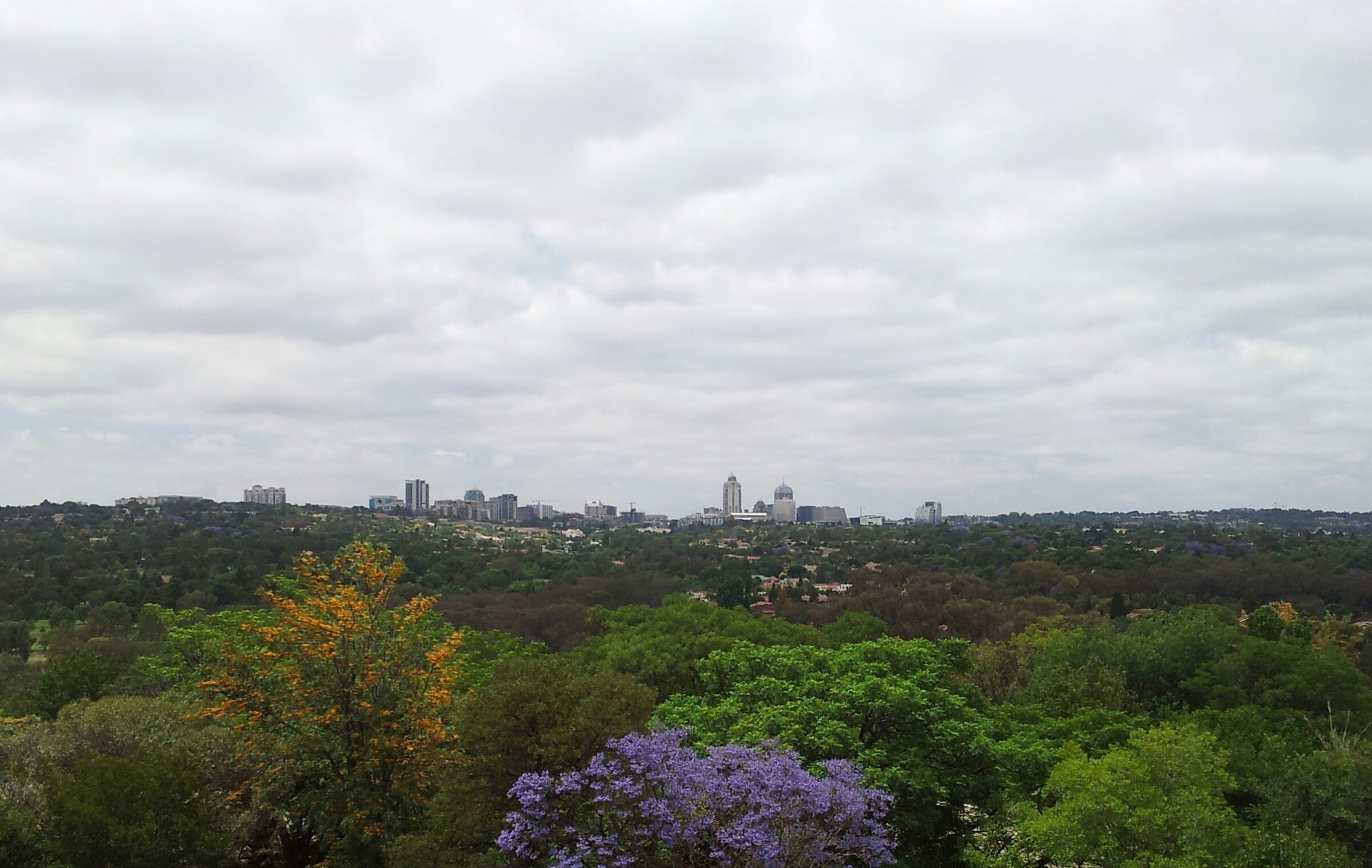 Sandton office towers in Johannesburg
