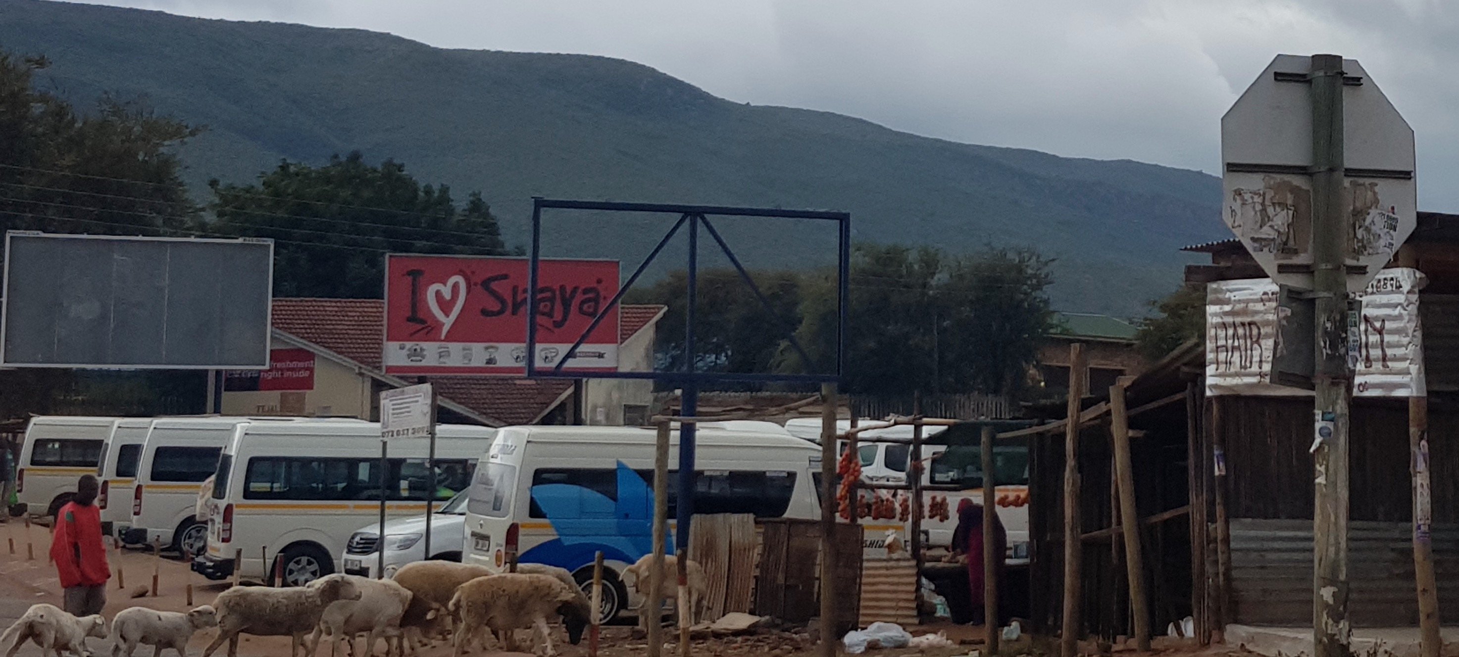 Minibus taxis parked at a rural taxi rank in Limpopo