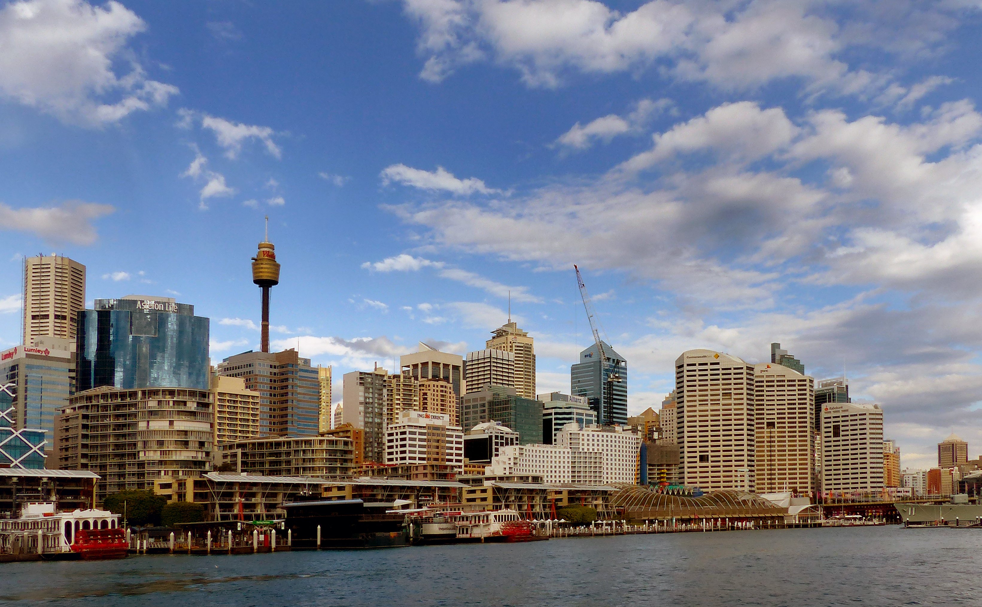 The Sydney skyline