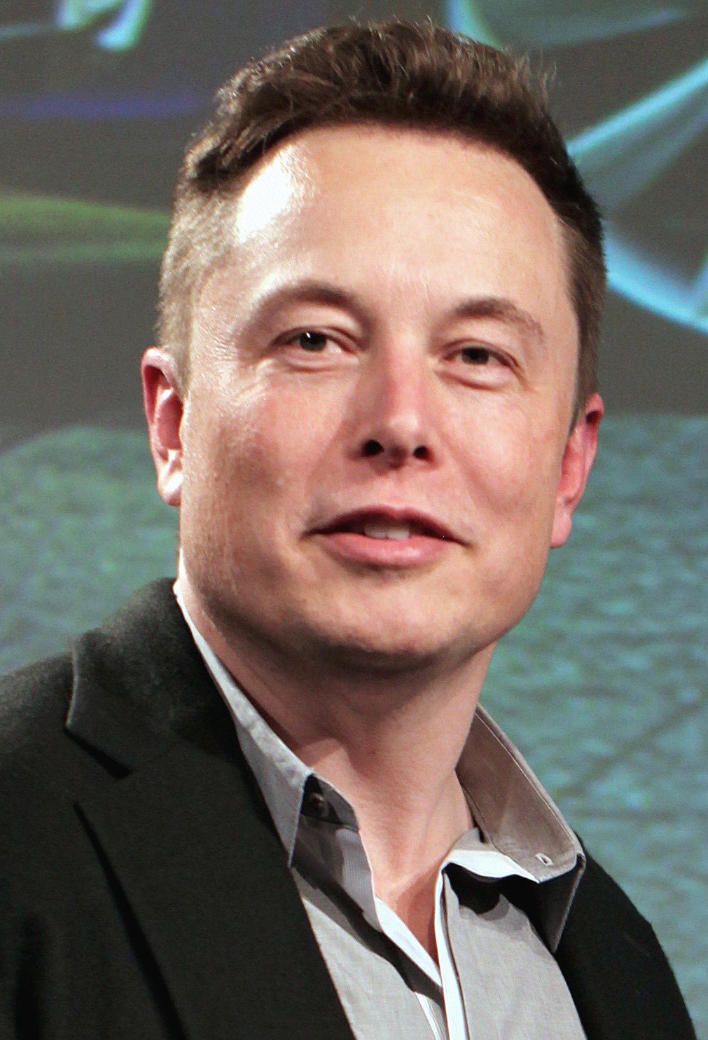 Elon Musk at a Tesla annual shareholder meeting