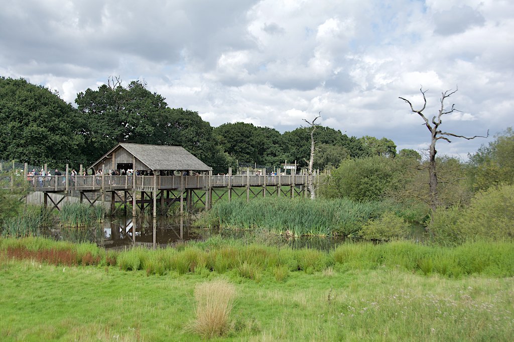 Viewing area at Yorkshire Wildlife Park